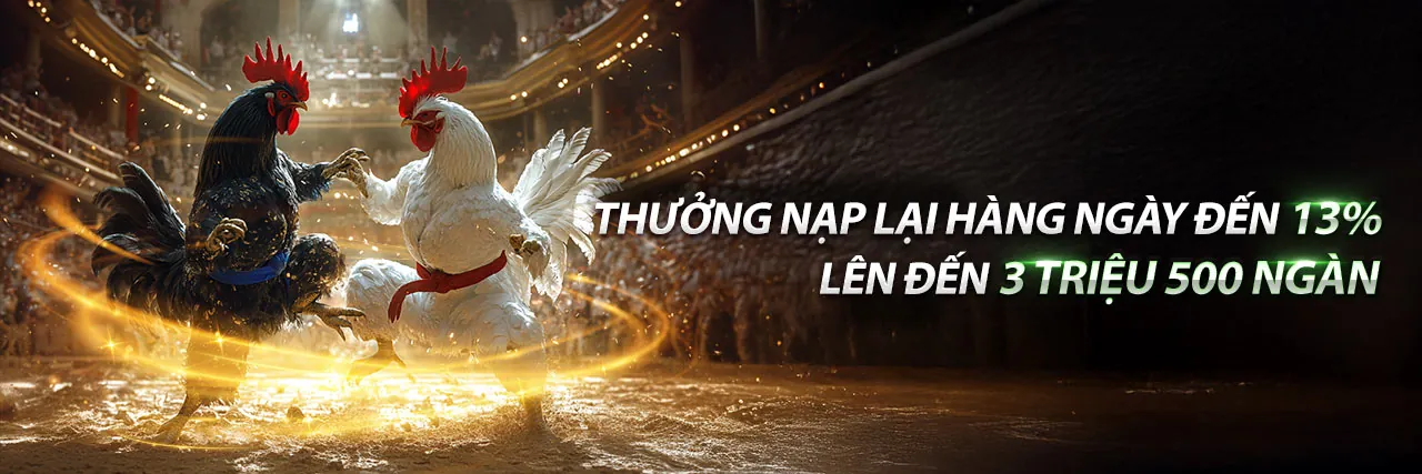 Đấu trường đá gà trực tuyến sôi động tại hi8 thể thao